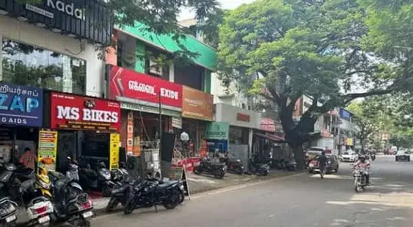 Thiru Vi Ka Street, Chennai
